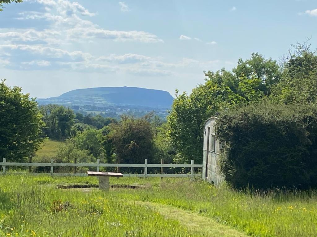 Clover Cottage Sligo Luaran gambar