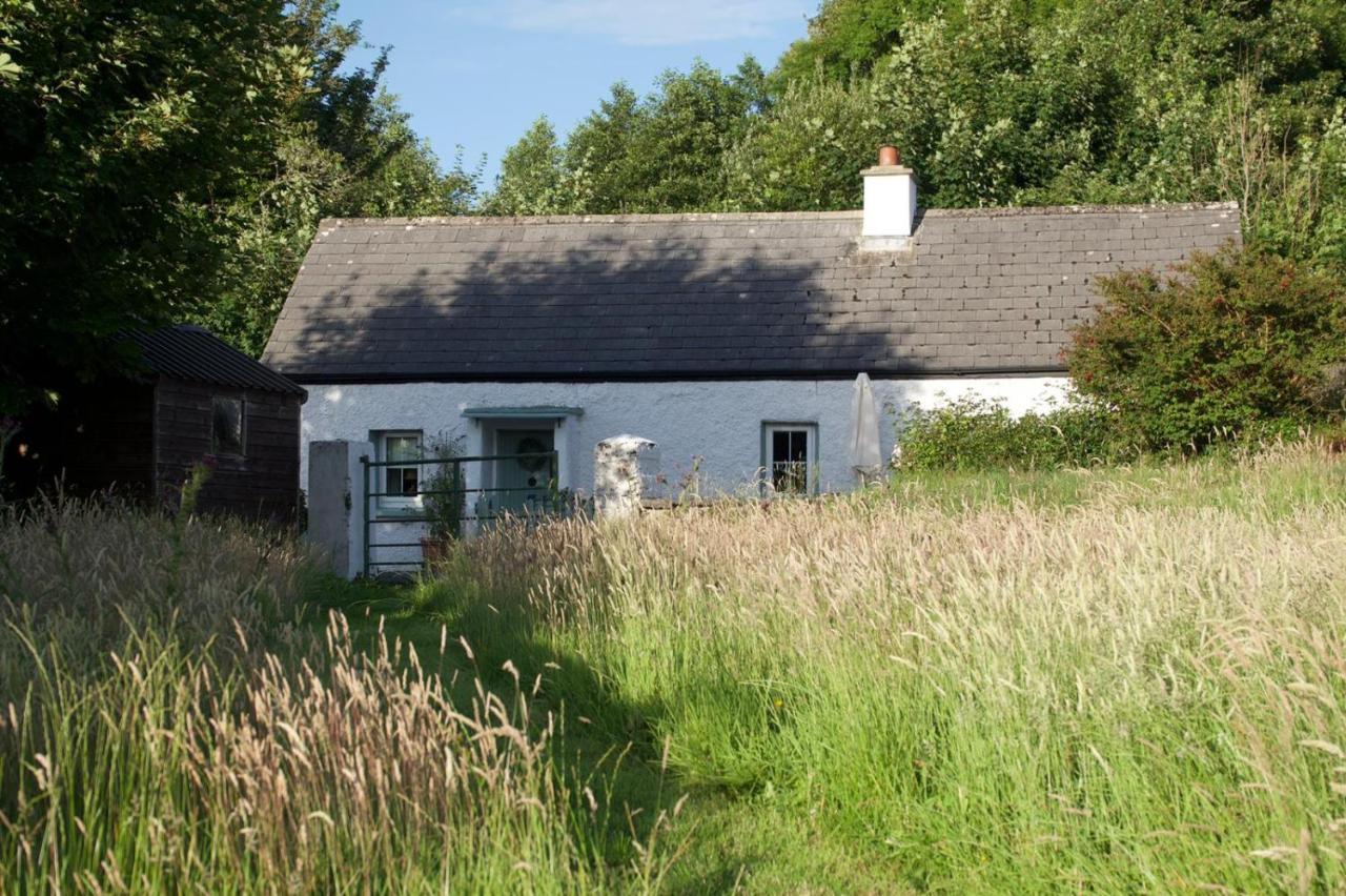 Clover Cottage Sligo Luaran gambar