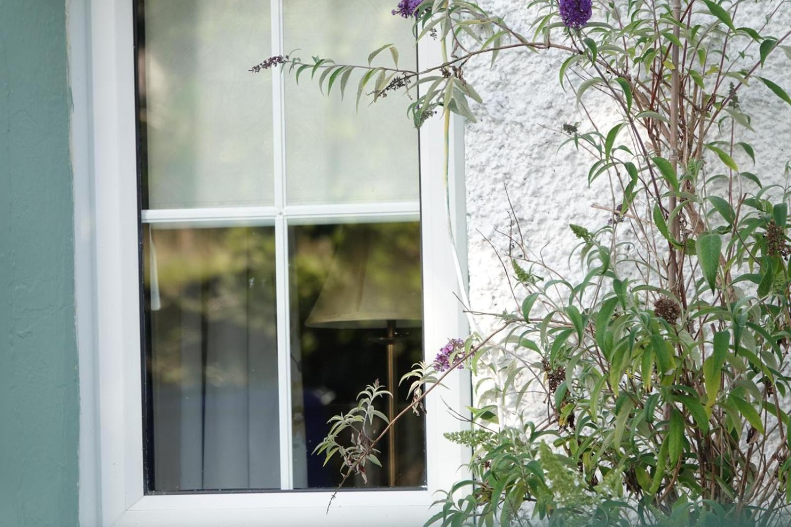 Clover Cottage Sligo Luaran gambar